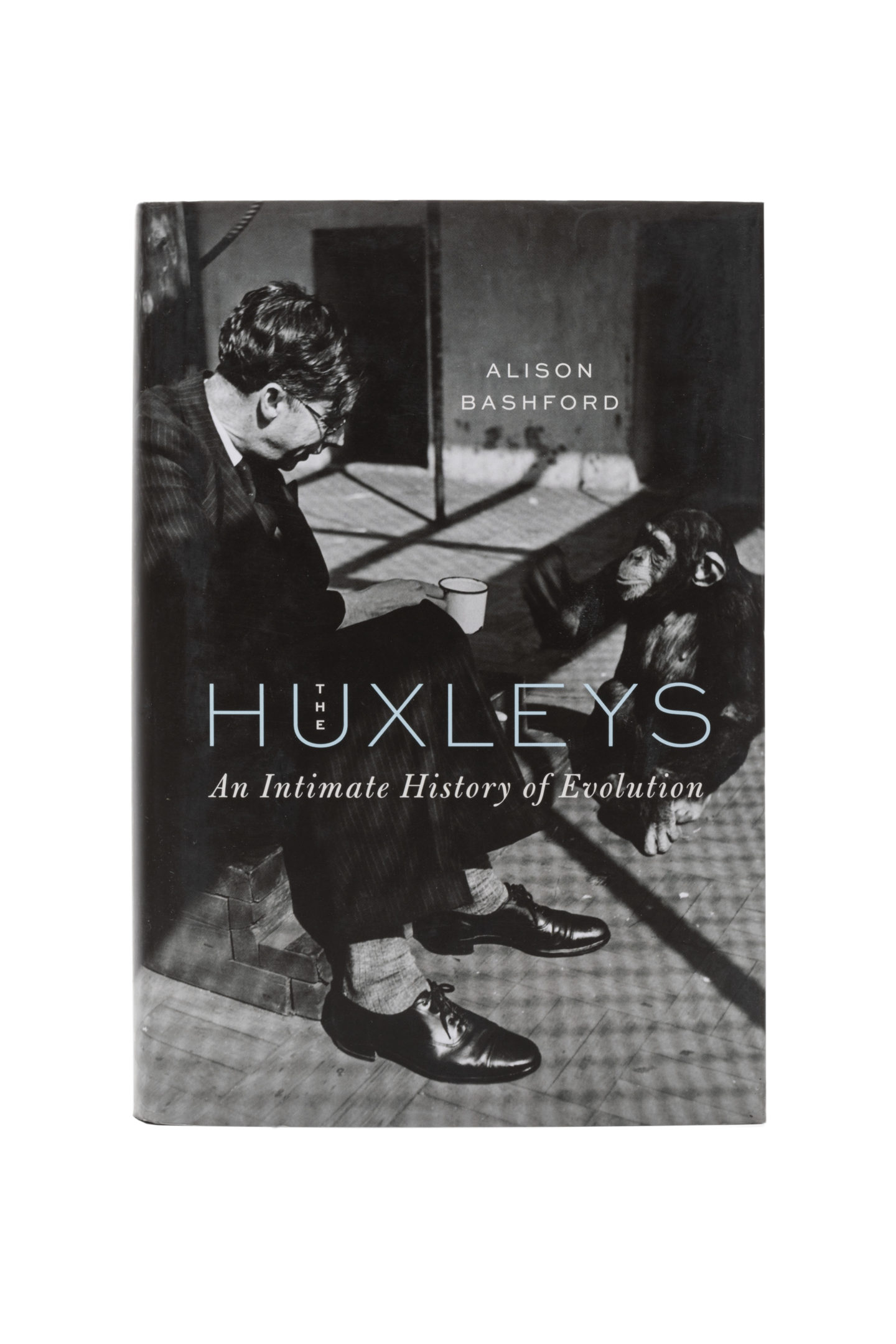 Huxleys Front View